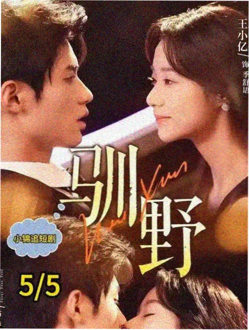 母亲的第三个名字 韩国家庭伦理电影封面